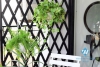 A modern and beautiful apartment for rent in  Ba dinh, Ha noi